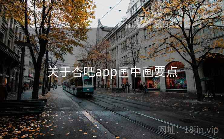 关于杏吧app画中画要点