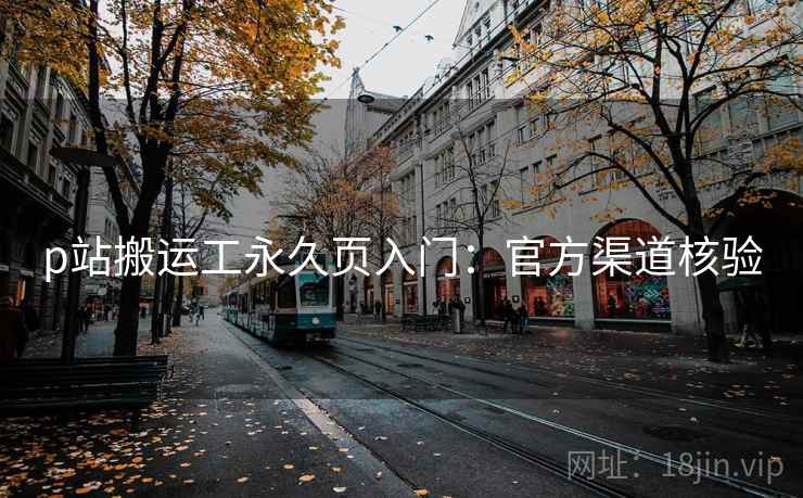 p站搬运工永久页入门：官方渠道核验
