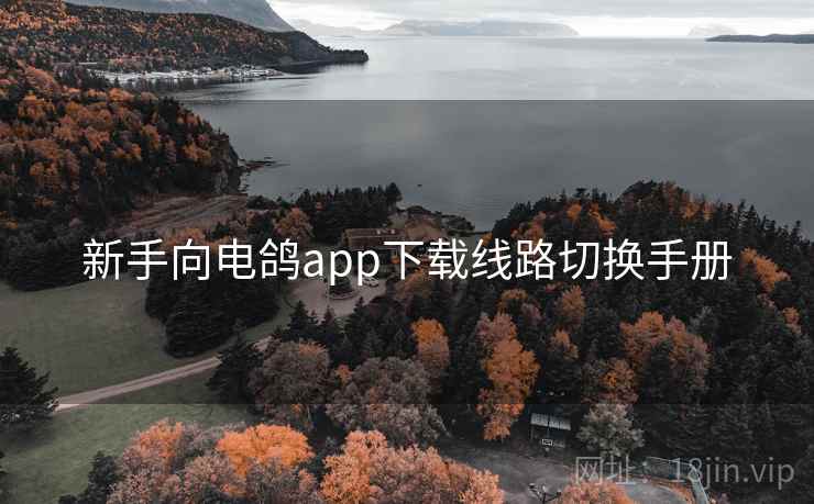 新手向电鸽app下载线路切换手册 新手向电鸽app下载线路切换手册