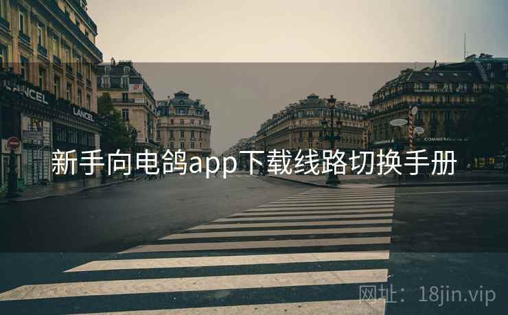新手向电鸽app下载线路切换手册 新手向电鸽app下载线路切换手册